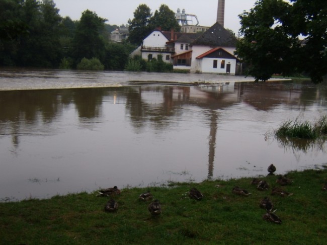 Povodně