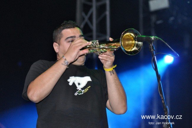 Boban Markovic Orkestar