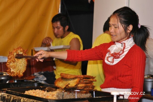 Sázavafest 2010