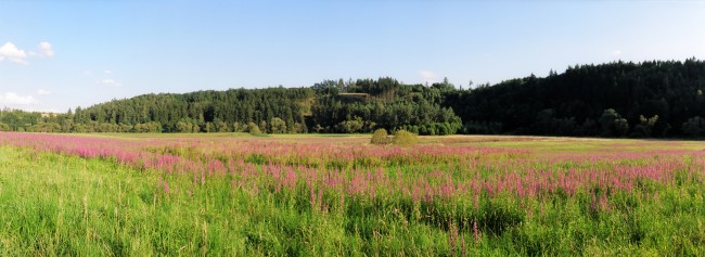 Louka u Chabeřic